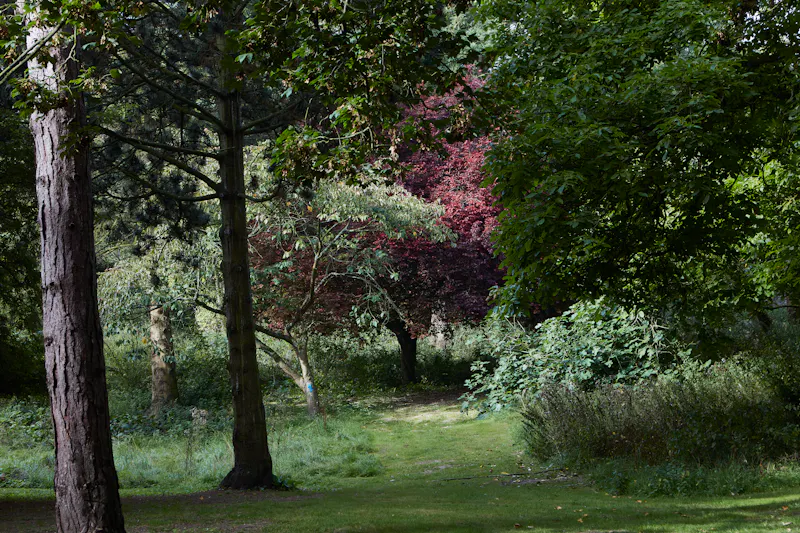 Woodland at Farmhouse Hotel in Deal, R869 (photo 38)