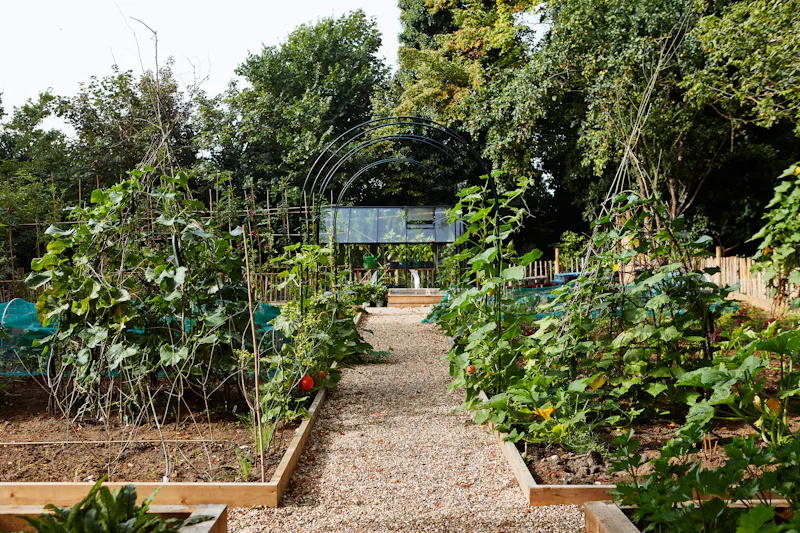 Garden - wild at Farmhouse Hotel in Deal, R869 (photo 34)