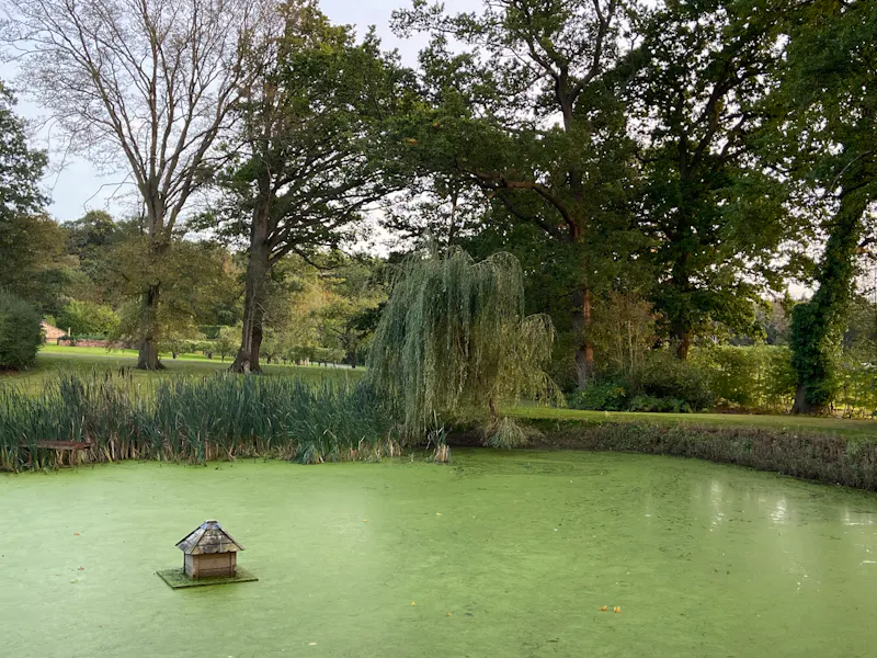 Lake at Unique modern house in Lyne, D2749 (photo 36)