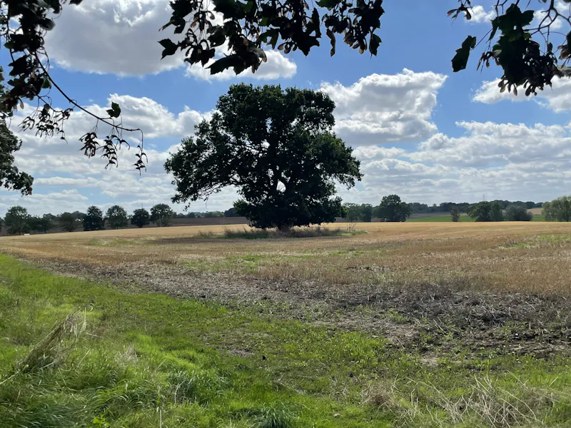 Views - country at North Essex Georgian estate, A1618 (photo 43)
