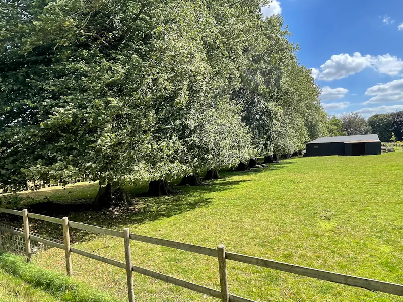 North Essex Georgian estate, A1618 (photo 52)