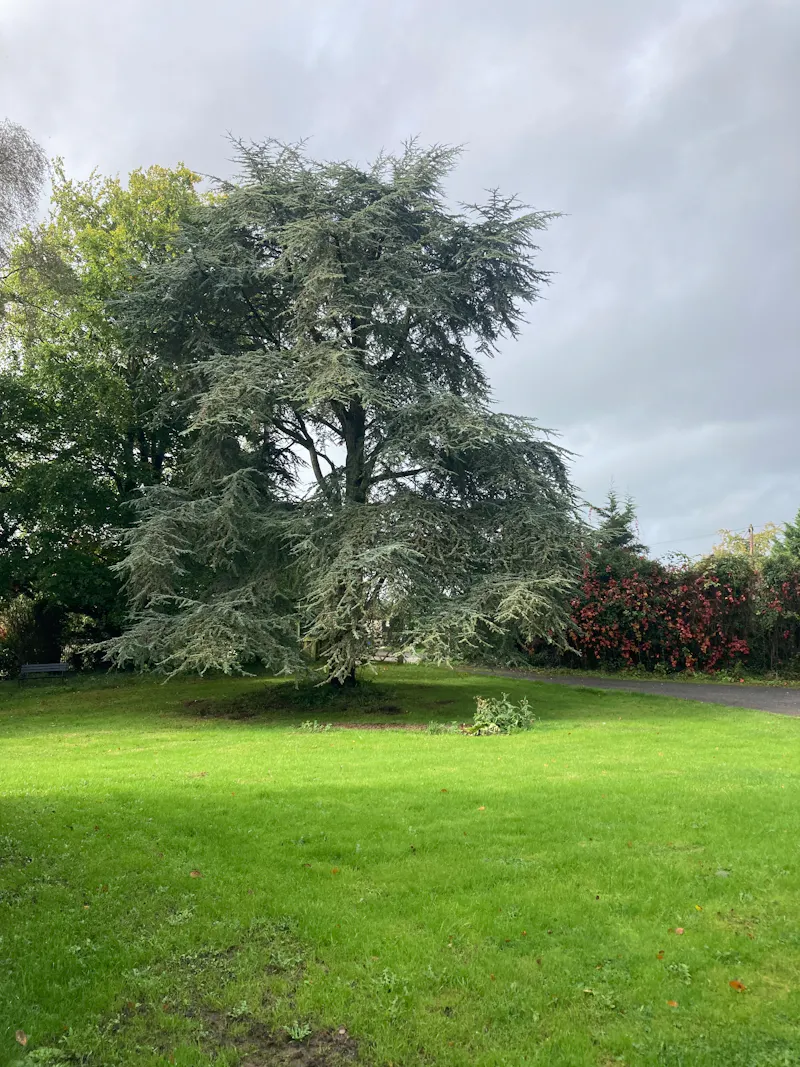 Views - country at Natural cottage near Bristol, CH125 (photo 36)