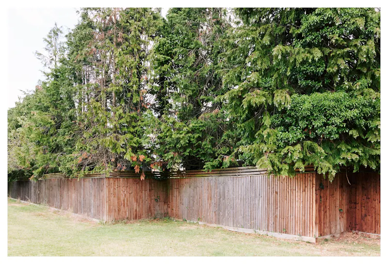 Large Watford Heath family home, D2751 (photo 51)