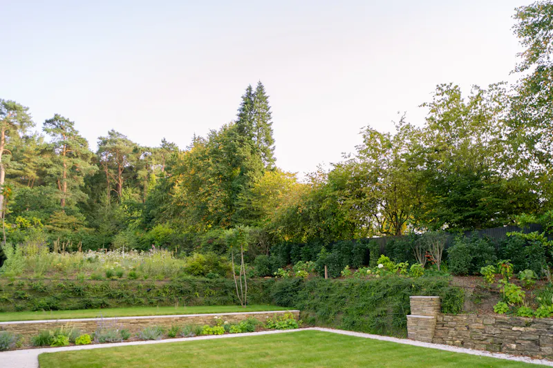 Woodland at Modern Churt country house, D2758 (photo 61)