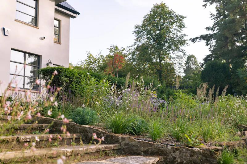 Modern Churt country house, D2758 (photo 50)