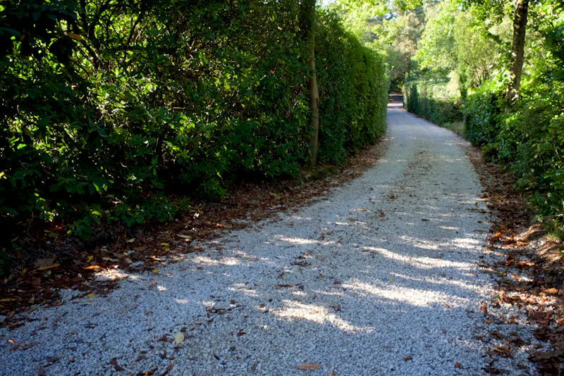 Driveway at Modern Churt country house, D2758 (photo 60)