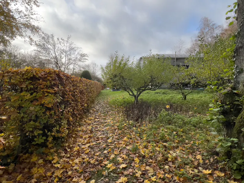 Mid-century Wiltshire Retreat, K499 (photo 38)