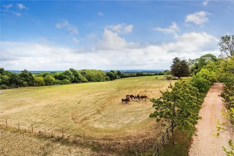 Modern Horely Ranch, K495 (photo 17)