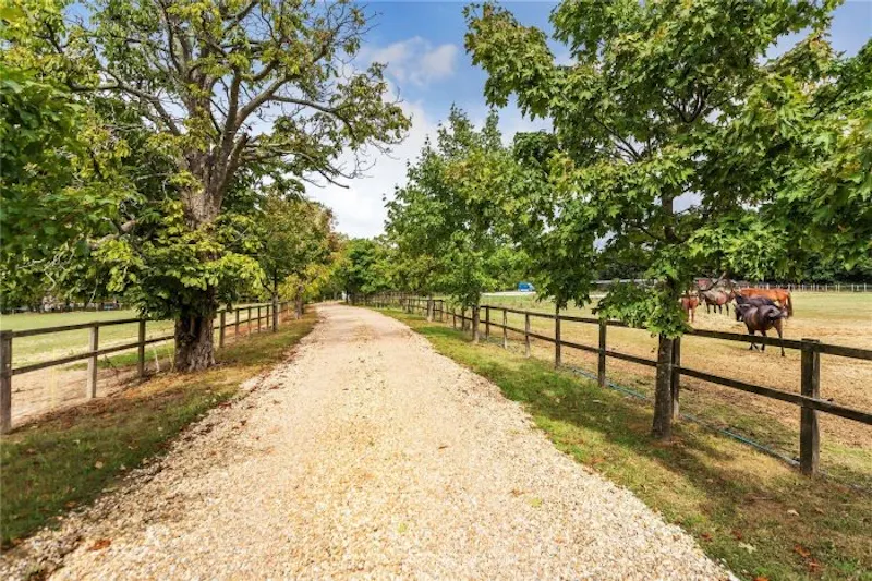 Driveway at Modern Horely Ranch, K495 (photo 16)