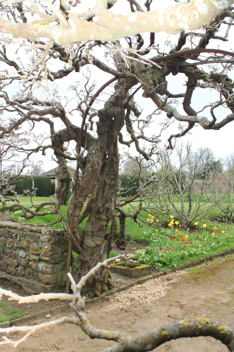 Calne country house & gardens, A45 (photo 45)