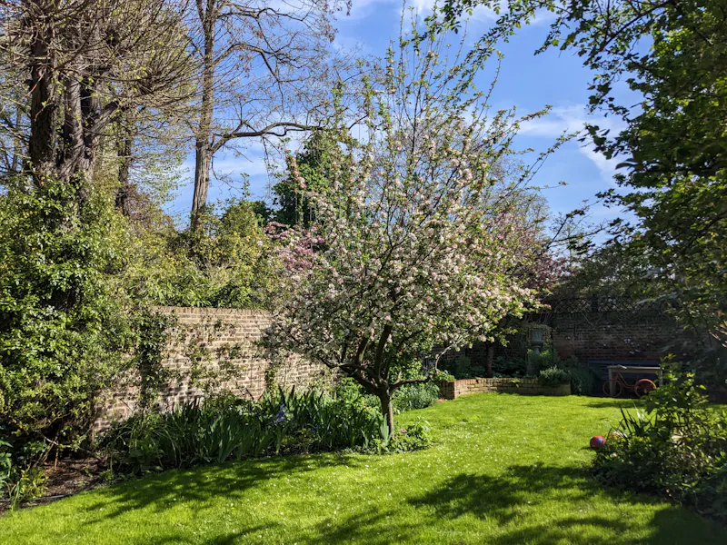 Elegant Camberwell townhouse, A1445 (photo 35)