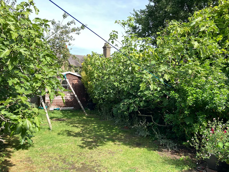 Garden at East Finchley Family Home, B2032 (photo 32)