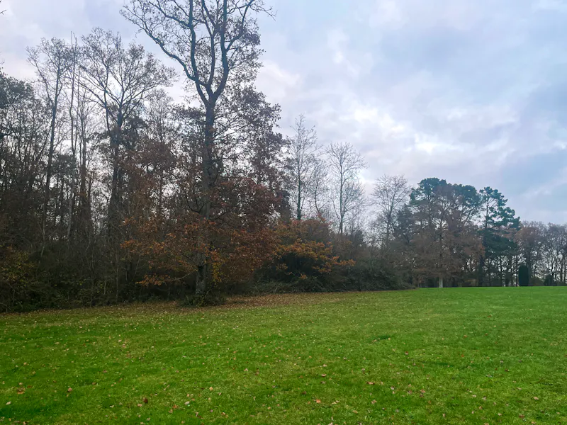 Billingshurst Manor House, D1308 (photo 129)
