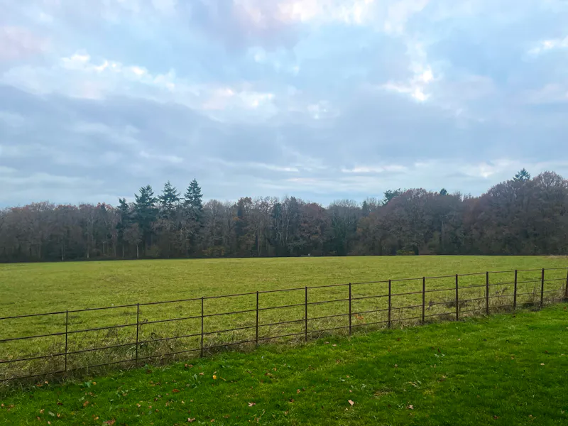 Countryside at Billingshurst Manor House, D1308 (photo 132)