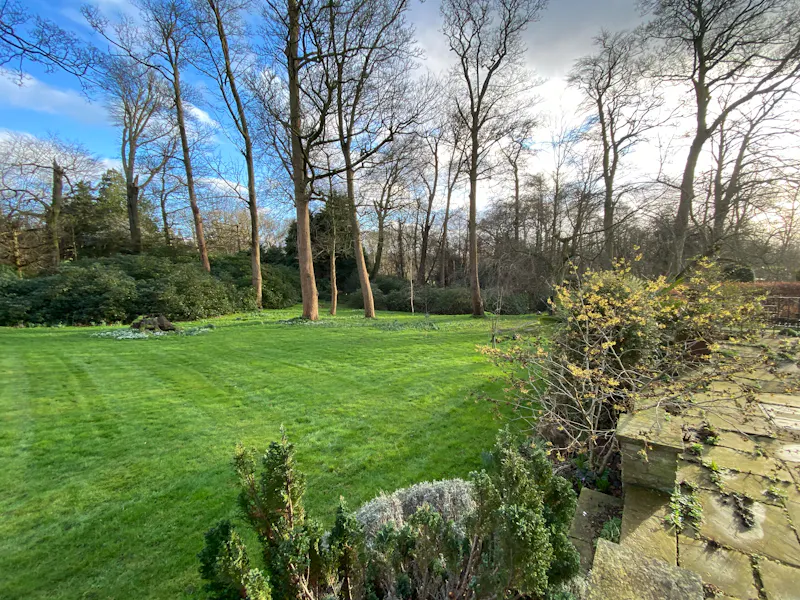 Woodland at Mill Hill Spanish Villa, D2790 (photo 22)