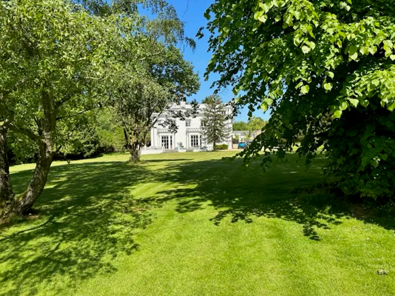Stucco country home in Worth, M361 (photo 23)