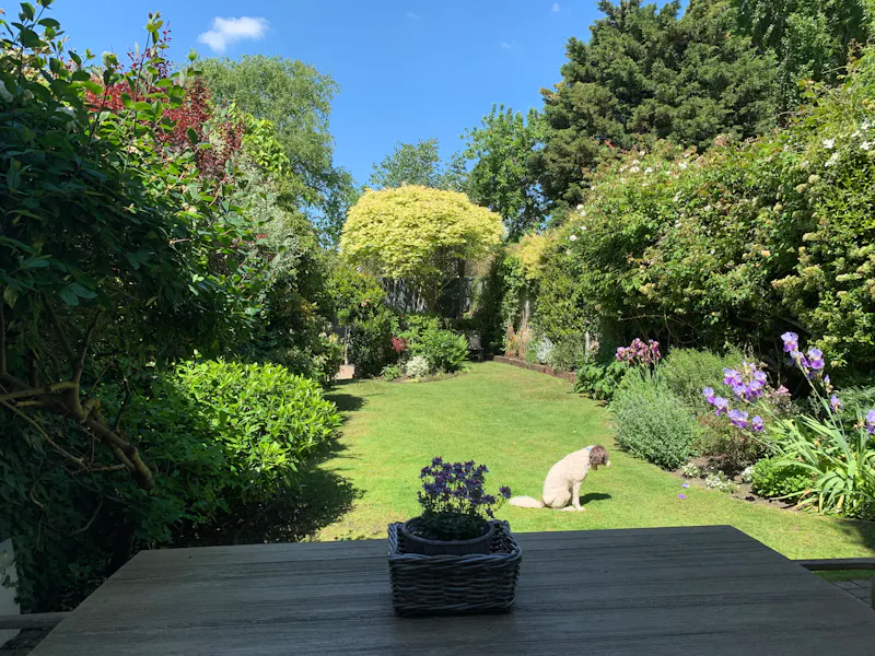 Garden at Tufnell Park Edwardian Home, D1955 (photo 27)