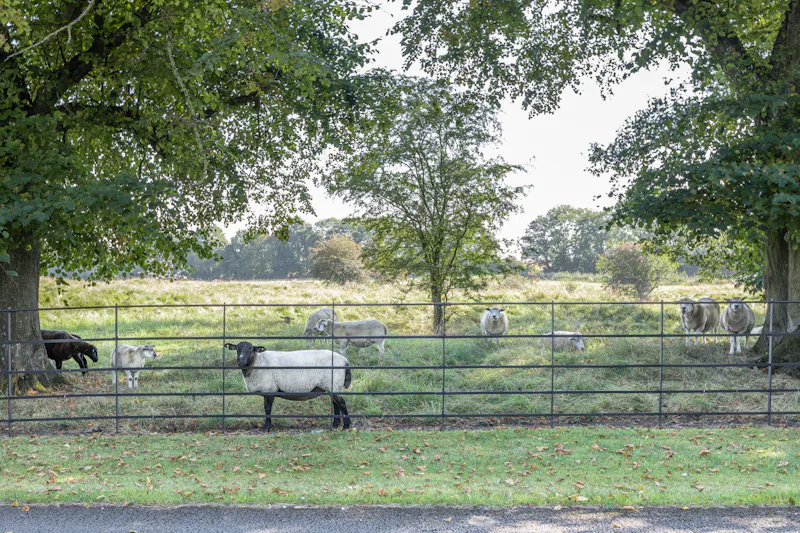 Countryside at Listed Warwickshire Estate, H192 (photo 34)