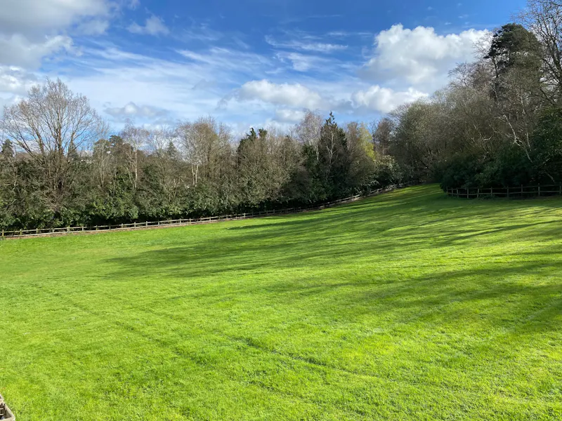 Views - country at American style Esher house, D797 (photo 153)