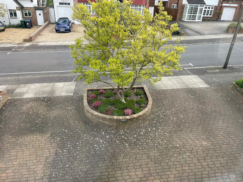 Driveway at Classic family home in Barnet, D2780 (photo 31)