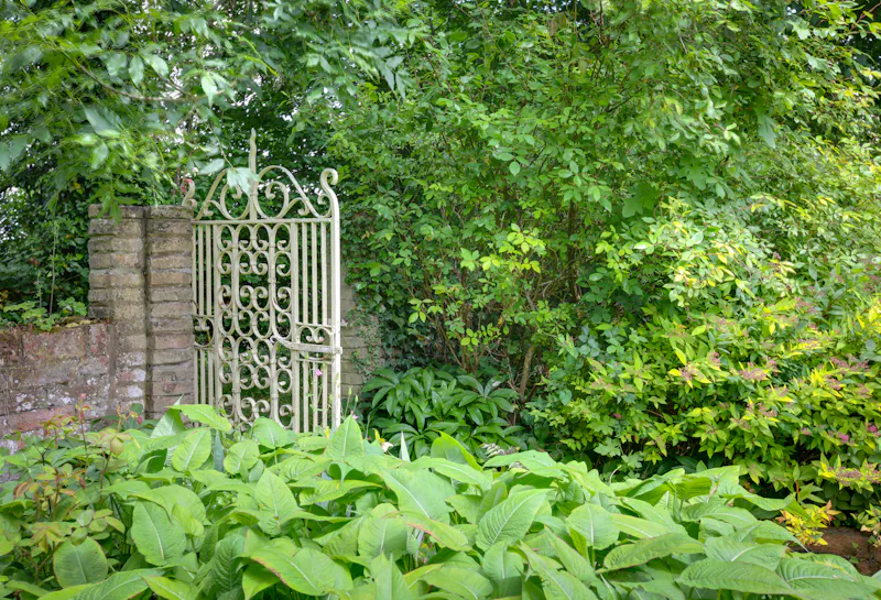Garden - wild at Barnston Grade 2 Rectory, A1627 (photo 48)