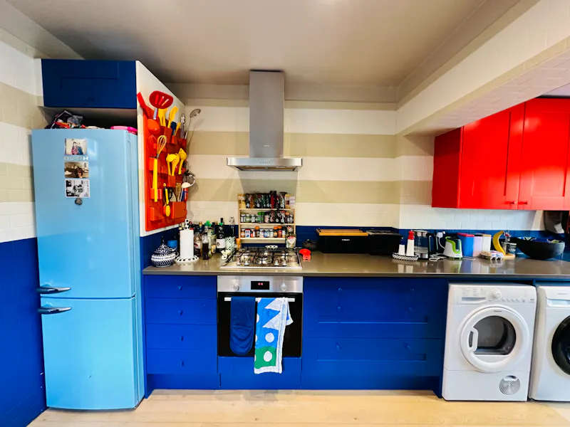 Colourful Harringay house, B2041 (photo 15)