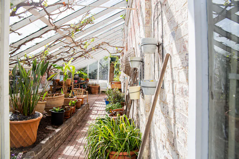 Greenhouse at Reigate Heath detached Home, D2296 (photo 30)