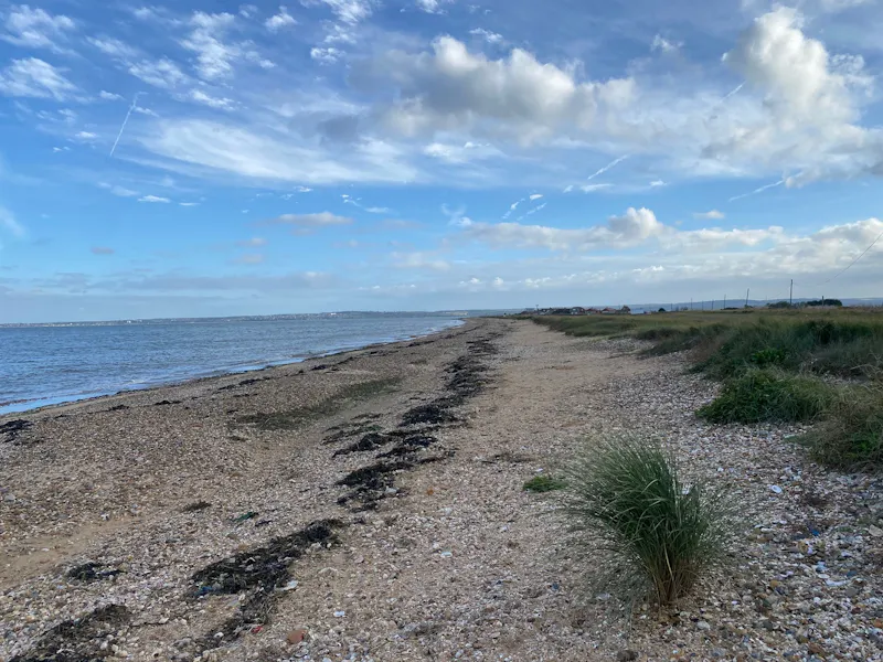 Idyllic Sheppy beach house, C897 (photo 35)