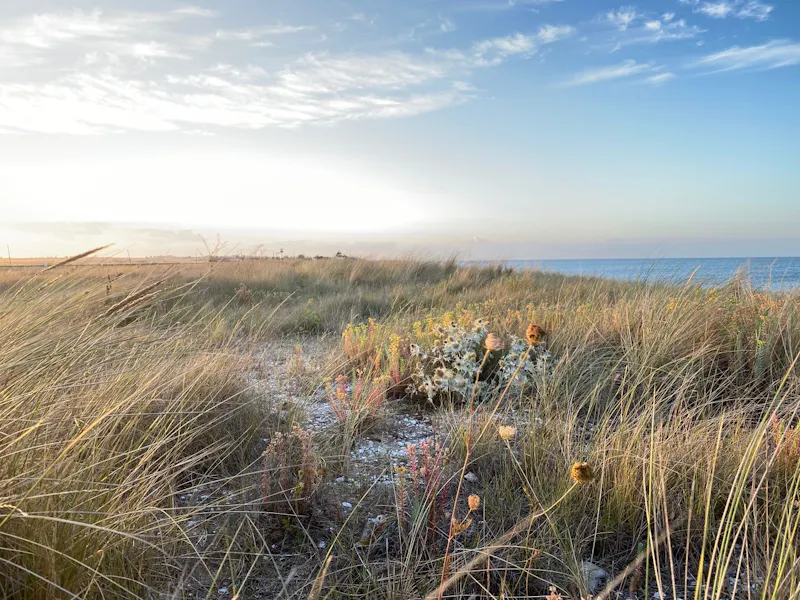 Idyllic Sheppy beach house, C897 (photo 45)