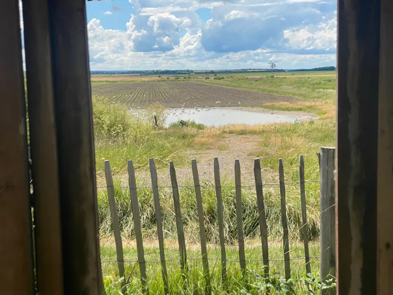 Idyllic Sheppy beach house, C897 (photo 53)