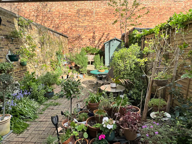 Garden at Shepherd's Bush family house, B1020 (photo 36)