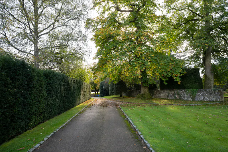 Chenies Studio and bar , R872 (photo 16)