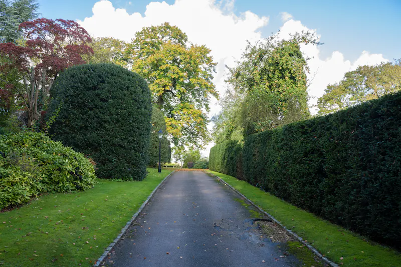 Driveway at Chenies Studio and bar , R872 (photo 17)