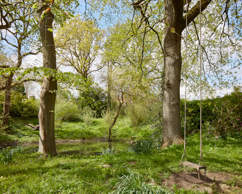 Garden - wild at Classy West Sussex Mansion, E535 (photo 45)