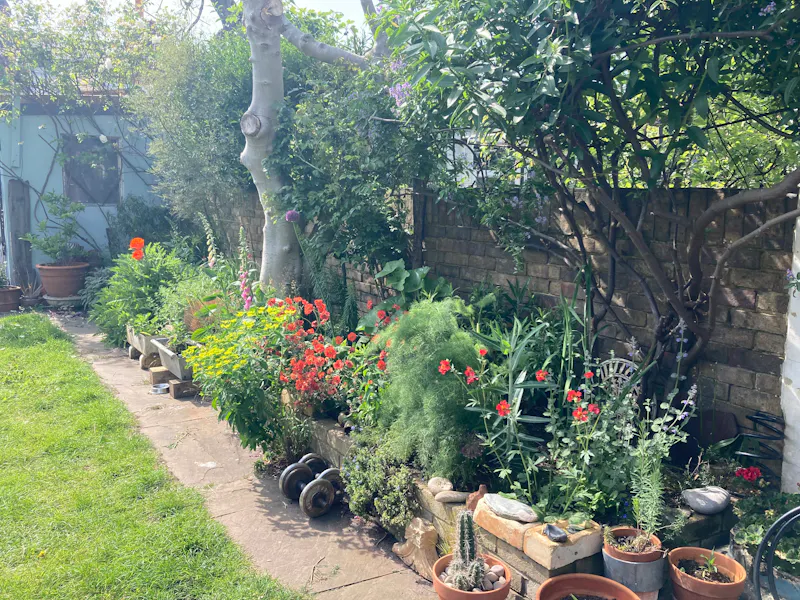 Pretty Peckham terrace, B1833 (photo 13)