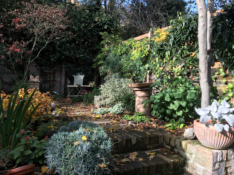 Garden - wild at Stoke Newington Victorian Home, B1208 (photo 15)