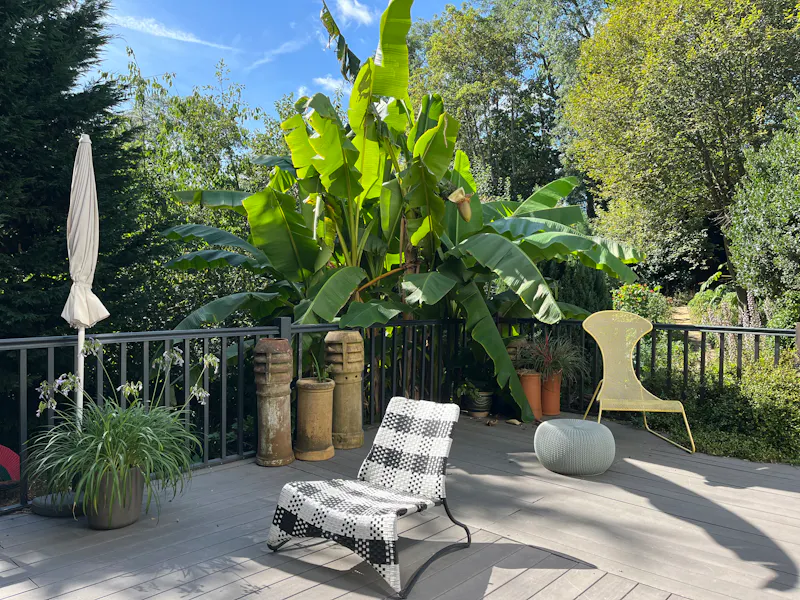 Terrace/Patio at Victorian Fox Hill family home, B1866 (photo 32)