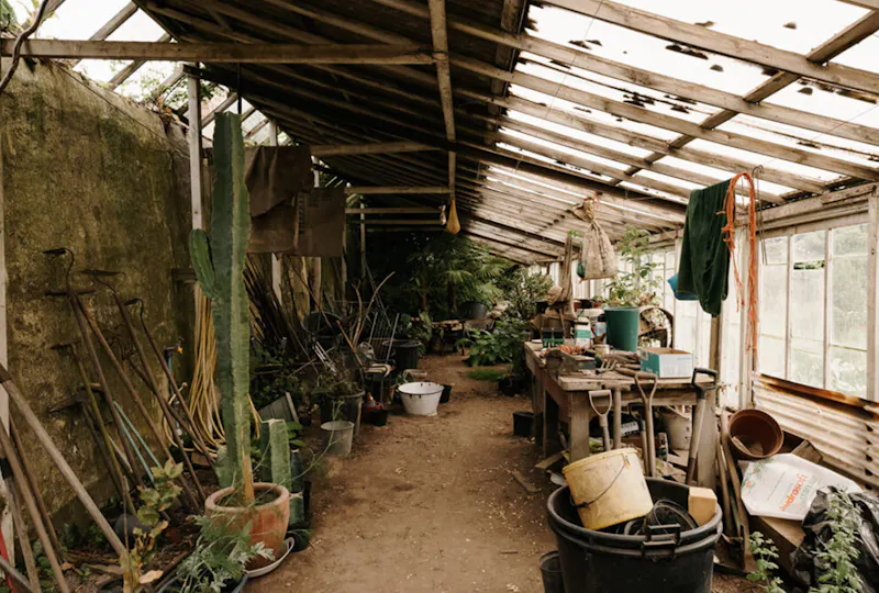 Greenhouse at Palatial Lincolnshire Manor, A1636 (photo 40)