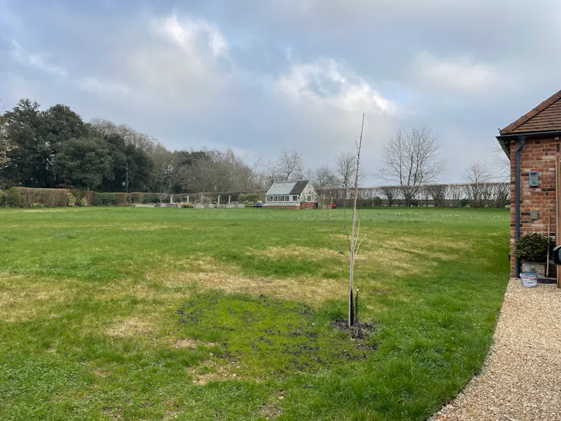 Garden at Modern Culham Country House, D2783 (photo 28)