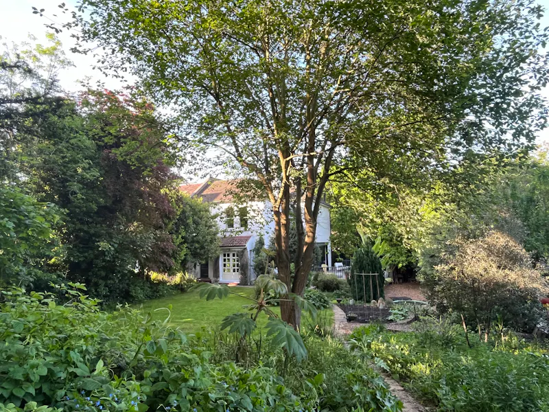 Garden at Victorian Fox Hill family home, B1866 (photo 35)