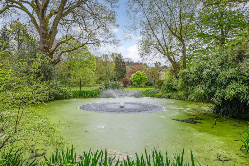 Pond at Classy Edwardian Home Wiston, E536 (photo 45)