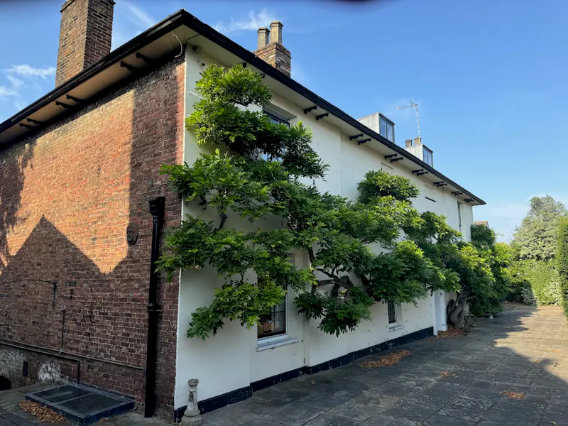 Traditional Tudor Home Sidcup, M366 (photo 20)