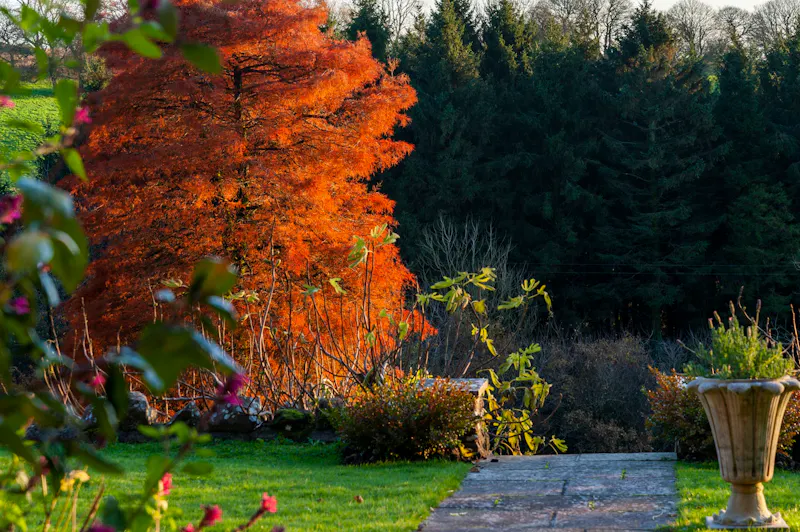Garden at Country Home Wells, B2057 (photo 11)