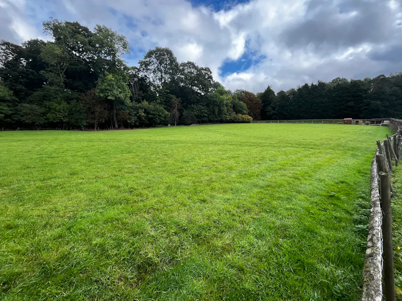 Modern Buckinghamshire Home, D2805 (photo 19)