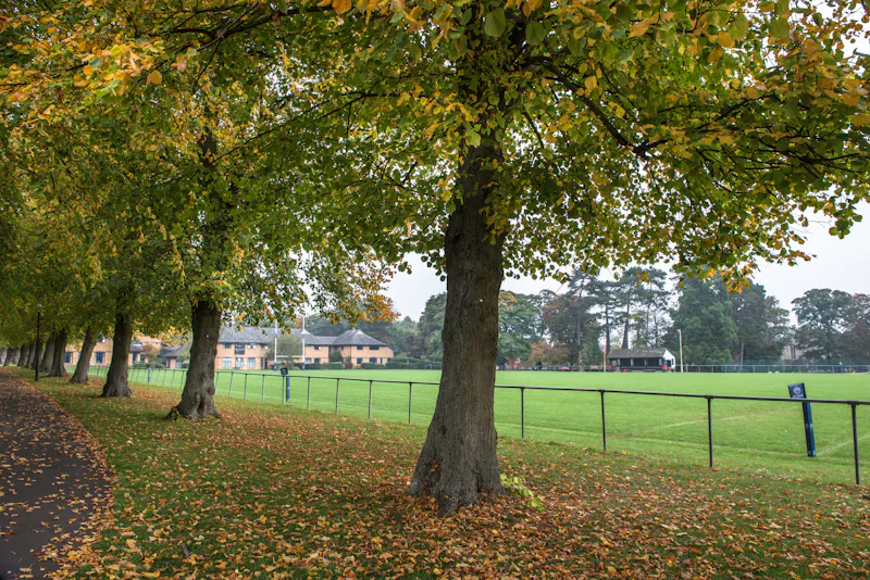 Public School Peterborough, J229 (photo 5)