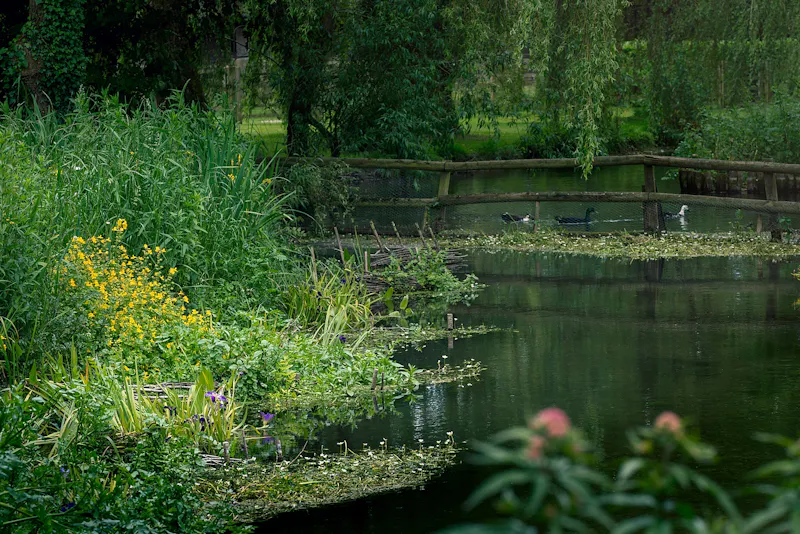 Pond at Luxe West Berkshire stately, A1547 (photo 39)