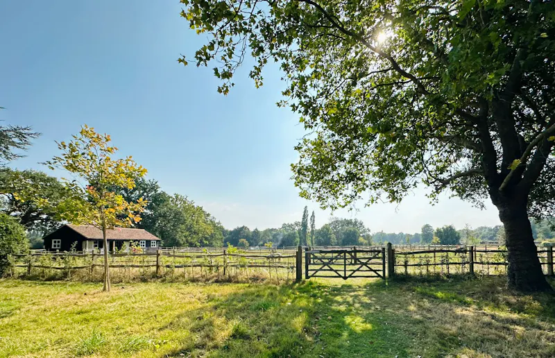 Stunning Georgian Home Surrey, A1643 (photo 46)