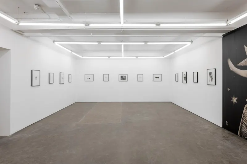 Central London Gallery, N559 (photo 4)