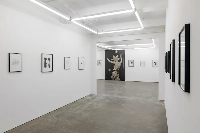 Central London Gallery, N559 (photo 5)