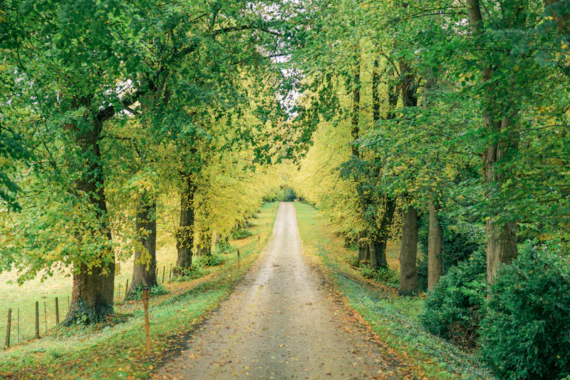 Driveway at Chateau style house Northampton, A1379 (photo 37)